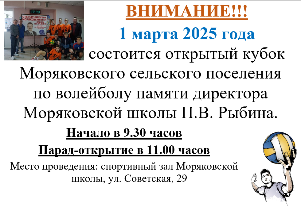 Открытый кубок по волейболу памяти П.В. Рыбина.